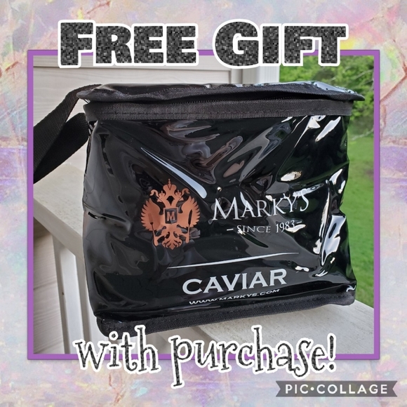 💥‼💥FREE GIFT WITH PURCHASE: Lunchbox Cooler Tote - Picture 1 of 10